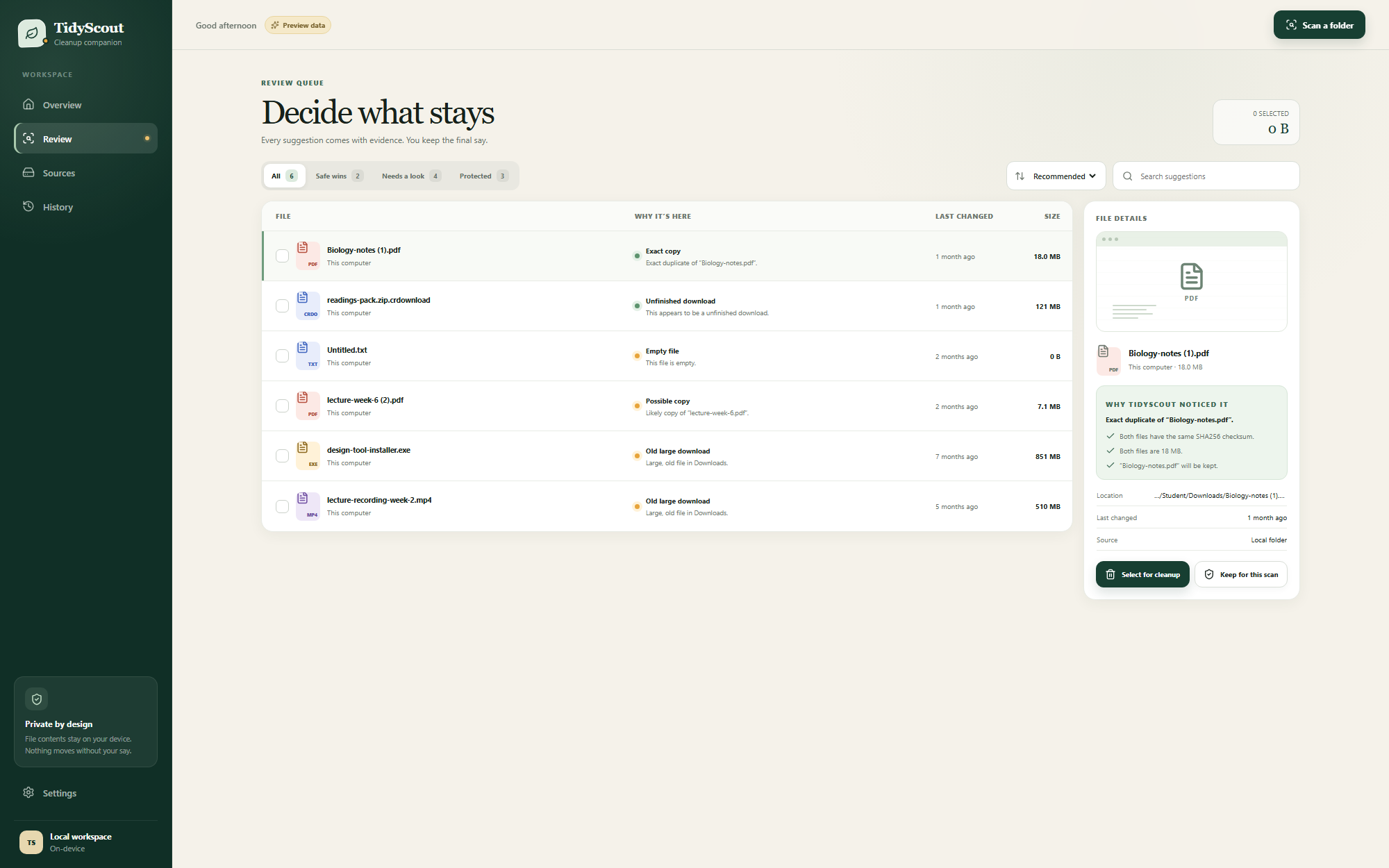 TidyScout review queue with reasons for each suggested file